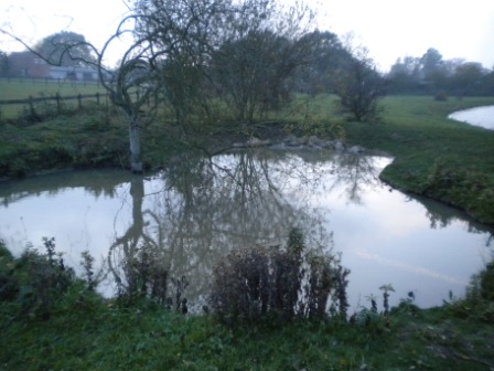 Existing small pond
